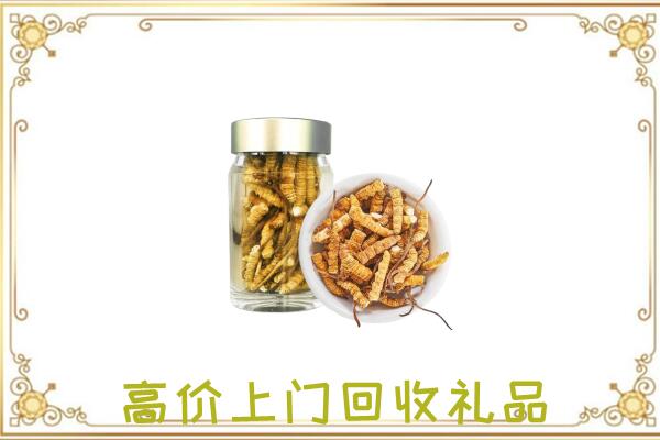 大连周边回收虫草
